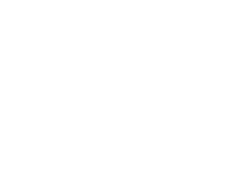 Icares 2024